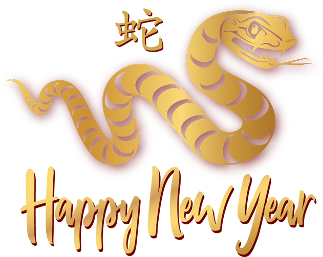 Lunar New Year 2025